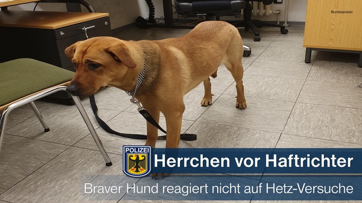 Bundespolizeidirektion München: Hund auf Beamte gehetzt -
Schwarzfahrer mit Hund heute vor Haftrichter