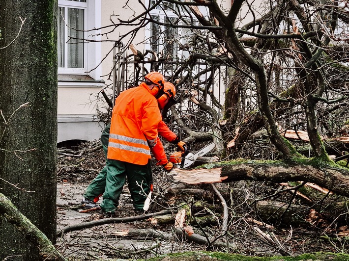 FW-RE: Sturmtief "Zoltan" verursacht Sturmschäden im Stadtgebiet - Mehrere Löschzüge im Einsatz