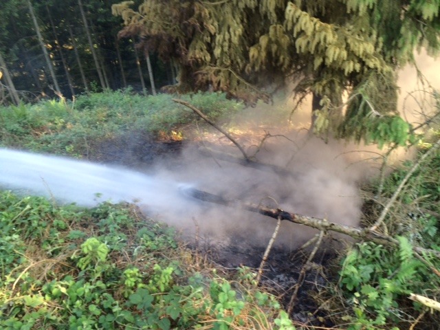 FW-Stolberg: Arbeitsintensives Bodenfeuer im Schevenhüttener Wald