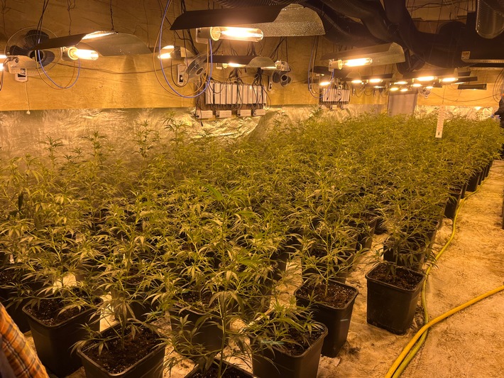 POL-BI: Polizei deckt Cannabis-Plantage und illegales Glückspiel auf