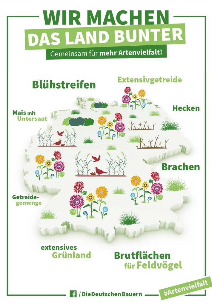 Bauern machen Artenschutz - Rukwied: Über 200.000 Kilometer Blühstreifen in Deutschland