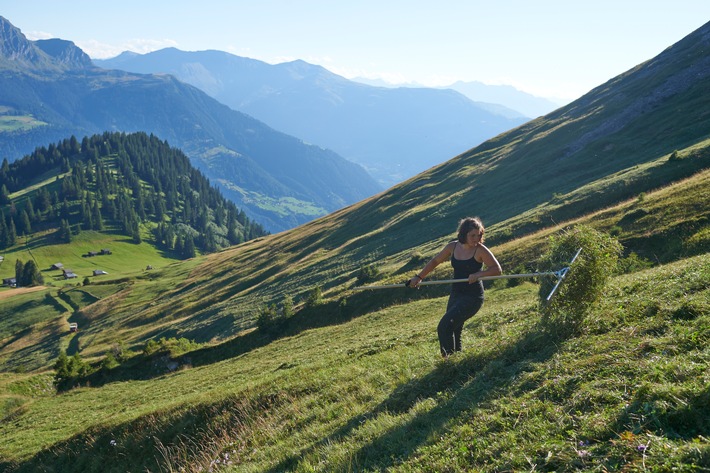 Caritas unterstützt Bergbauernfamilien in Not / 950 Helferinnen und Helfer für Schweizer Bergbauern gesucht