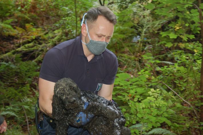 FW-EN: Hattinger Feuerwehr rettet eingesunken Hund aus Bachlauf