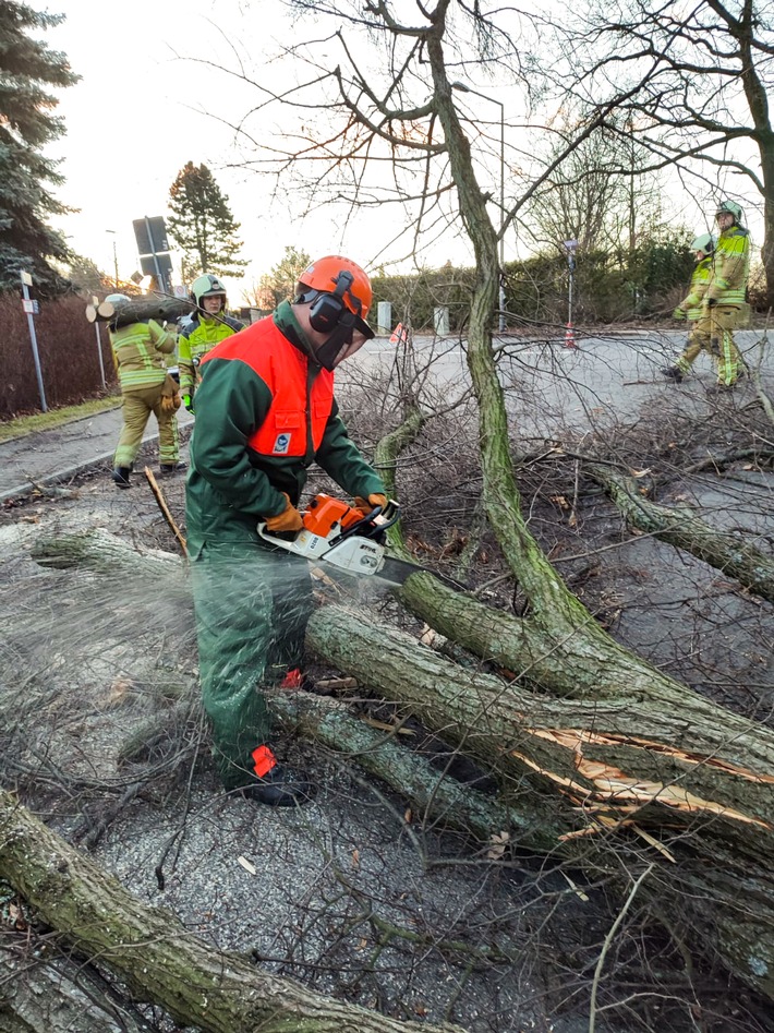 FW Dresden: Informationen zum Einsatzgeschehen der Feuerwehr Dresden vom 19. Februar 2022