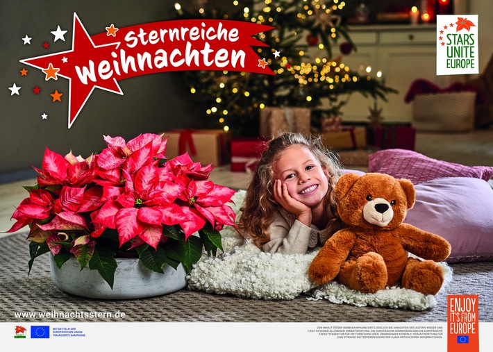 EU-Kampagne „Sterne verbinden Europa“: Jetzt kostenlose Weihnachtsstern-Werbemittel für die Saison 2022 sichern