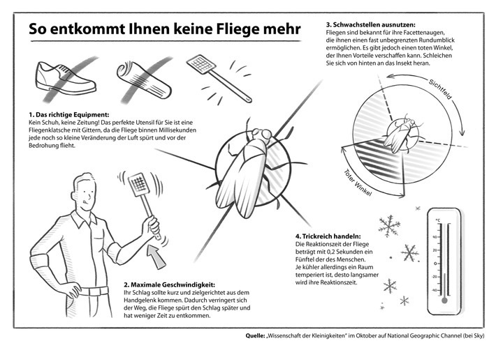 Wie schnappe ich eine Fliege? Wie öffne ich eine Tür? Wie binde ich mir die Schuhe? Neue Dokureihe zeigt Wissenschaft hinter Alltagsdingen (mit Infografik)