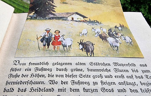 Die Heidi-Stiftung stärkt mit Zürich und Graubünden Literatur- und Kulturangebote