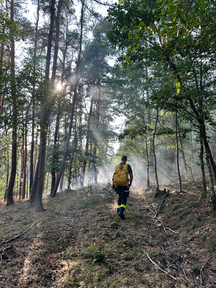 FW Nideggen: Waldbrand im Nationalpark bei Schmidt