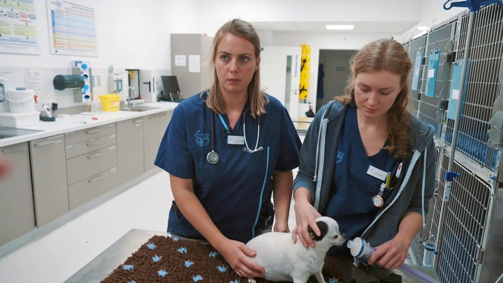 Neue Reportage bei RTLZWEI "Deutschland bei Nacht - Schuften statt schlafen": Ein Blick hinter die Kulissen der Nachtarbeit