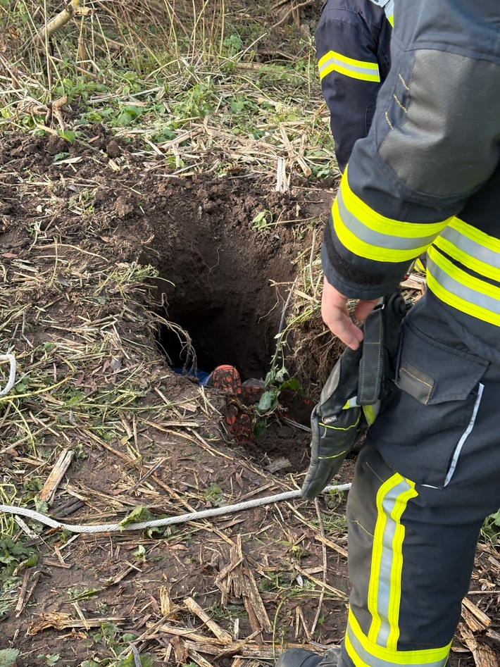 FW Beverungen: Schaf in Notlage / Feuerwehr Beverungen rettet Tier aus rund drei Meter tiefem Loch