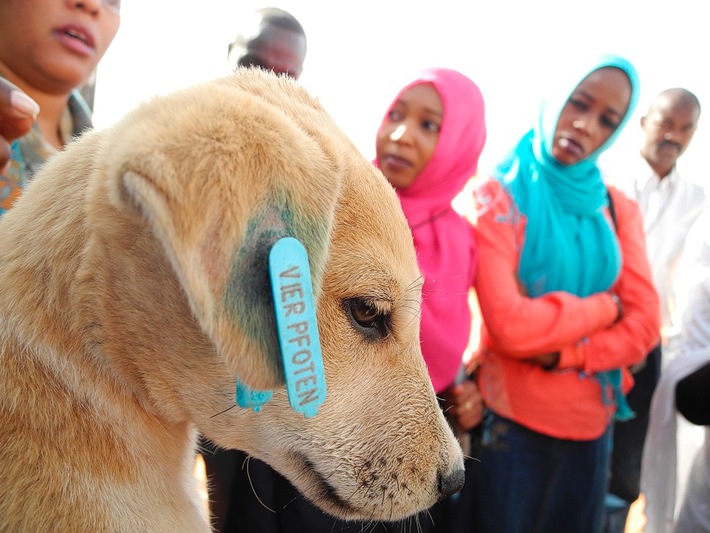 VIER PFOTEN: Erste Streunerhilfe-Mission in den UNAMID-Lagern in Darfur / Schulung sudanesischer Tierärzte wird Situation auch nachhaltig verbessern (mit Bild)