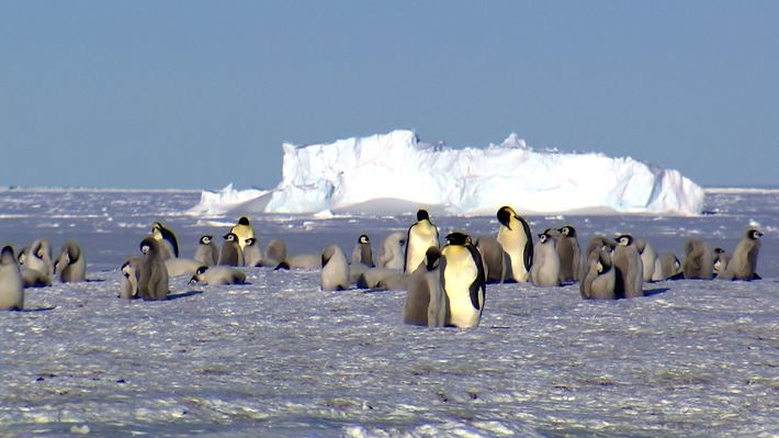 &quot;wissen aktuell: Das Eis schmilzt&quot;: 3sat-Wissenschaftsdoku zu Klimawandel in Polarregionen
