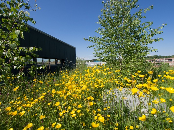 Jetzt noch anmelden: Konferenz "European Green Premises"