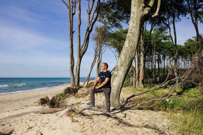 Reportage: Ein Meer aus Bäumen