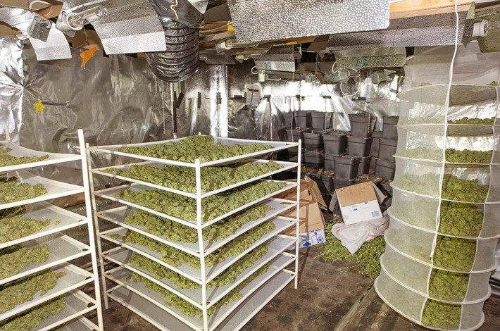 POL-RE: Castrop-Rauxel: Cannabis-Plantage entdeckt - Fünf Männer in U-Haft