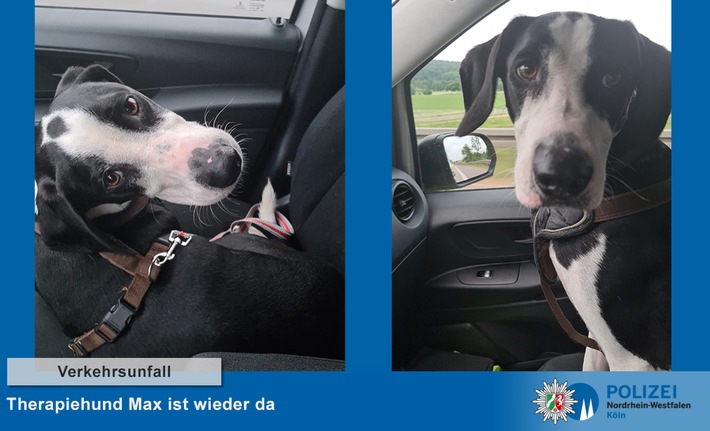 POL-K: 210622-4- BAB/EU Therapiehund Max nach Verkehrsunfall wieder Zuhause - Autobahnpolizisten übergeben Vierbeiner an seine glückliche Besitzerin