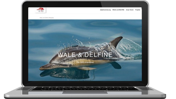 Das Wiki der Delfine und Wale: Die Gesellschaft zur Rettung der Delphine (GRD) präsentiert neuen Online-Artenführer