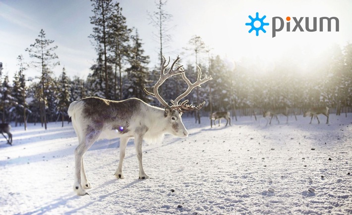 Pixum startet großen Online-Adventskalender und verlost Traumreise nach Schwedisch Lappland
