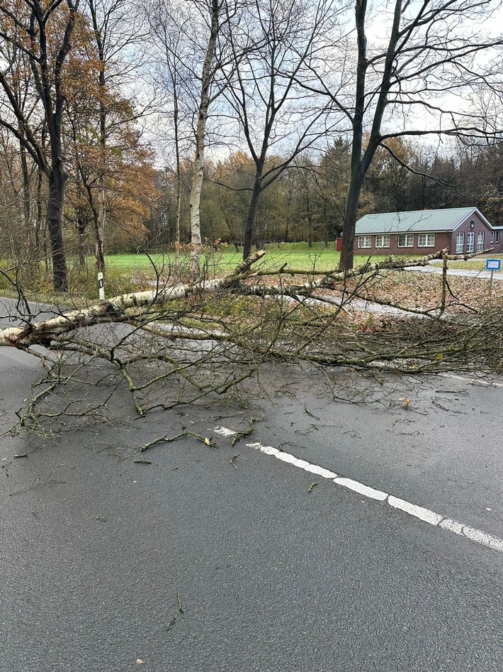 FFW Schiffdorf: Windböen sorgen für Einsatz der Ortsfeuerwehr Wehdel: L143 blockiert