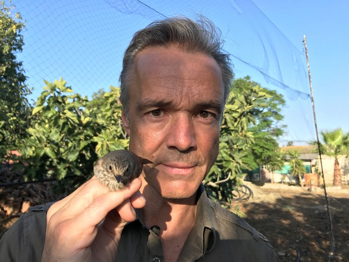 Neue ZDF-Tierdokumentation: "Hannes Jaenicke im Einsatz für Vögel" (FOTO)