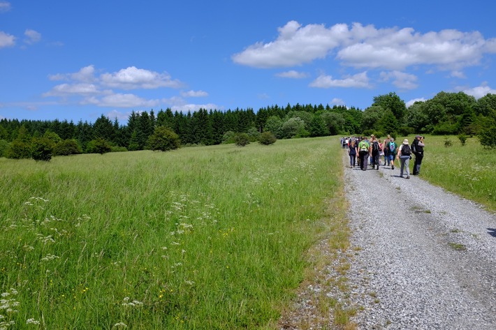 Mit Sicherheit die Natur am Stegskopf erleben