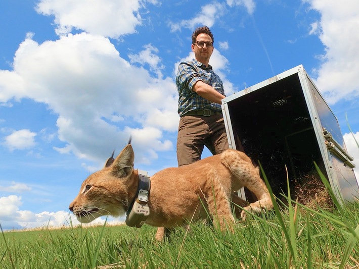 Clean Energy Meets Wild Nature: PLAN-B NET ZERO Becomes Official Rewilding Partner of Planet Wild