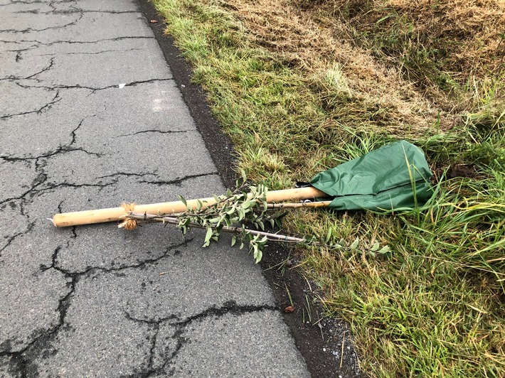 POL-SO: Bäume abgeknickt