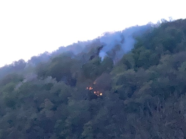 FW-DO: 20.04.2022 - Feuer in Syburg Flächenbrand in Waldgebiet
