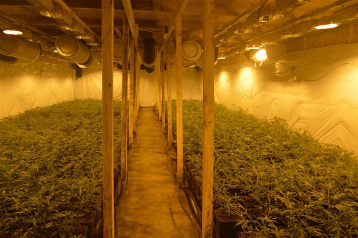 POL-REK: 180413-4: Cannabisplantage in Lagerhalle entdeckt- Bergheim