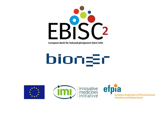 EBiSC presents a new offering of iPSC-derived neurons