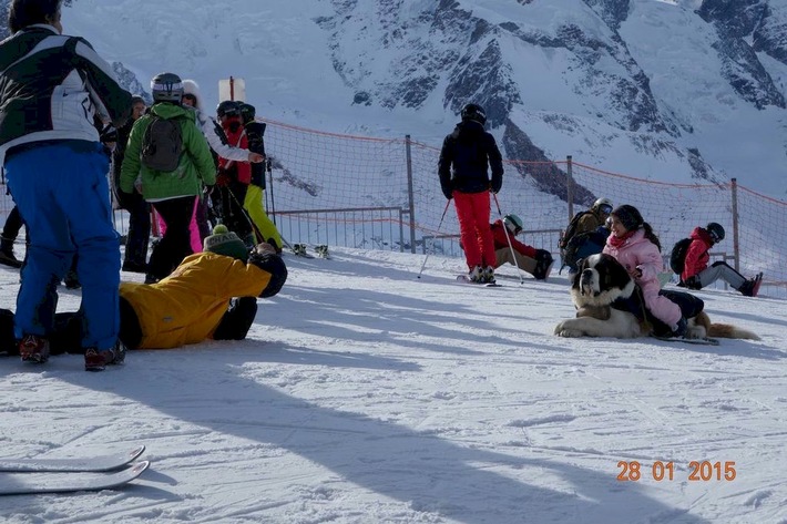 Foto-Bernhardiner in Zermatt: Unwürdiges Spektakel vor dem Aus / Stellungnahme Schweizer Tierschutz STS