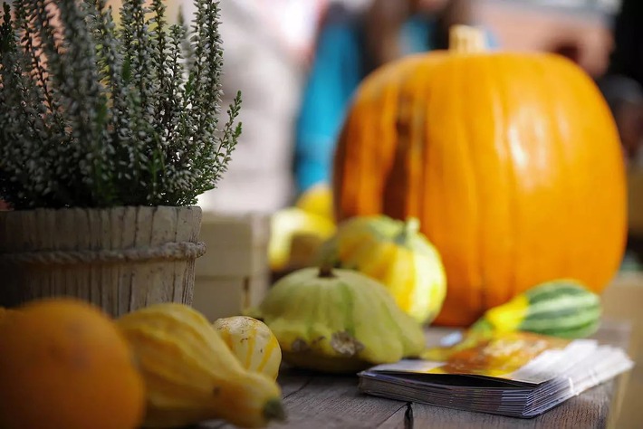 Erntezeit erleben: Herbstmarkt am 5. Oktober in Dagobertshausen