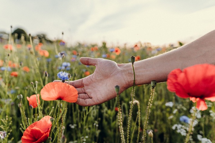 Früchte, Luft &amp; Medizin: Die Welt sagt „Danke“ am 3. März (Tag des Artenschutzes)