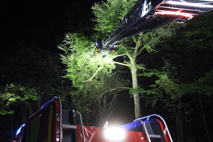 FW-WRN: TH_1_A: Baum auf Fahrbahn - erster Sommerbruch im Stadtwald