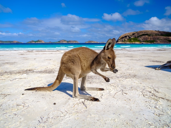 Der schönste Strand der Welt liegt in Westaustralien / &quot;The World&#039;s 50 Best Beaches&quot; hat Lucky Bay zum schönsten Strand der Welt gekürt und zwei weitere westaustralische Strände in die Top 50 gewählt