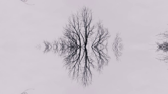 Literarisch das Sterben und den Tod reflektieren: Forscherin Anna Elsner erhält Marie Heim-Vögtlin Preis