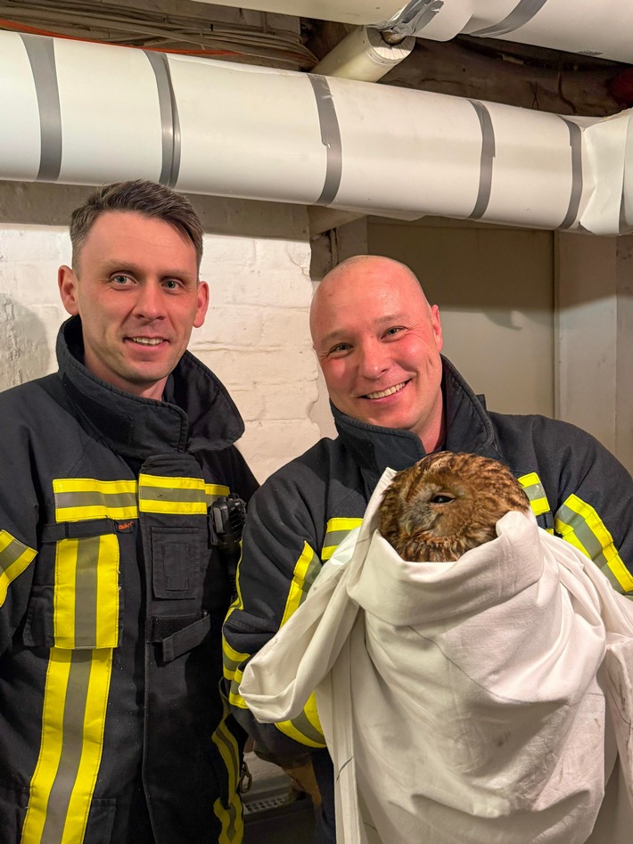 FW-BO: Gefiederter Gast im Heizungskeller - Waldkauz in Grumme befreit