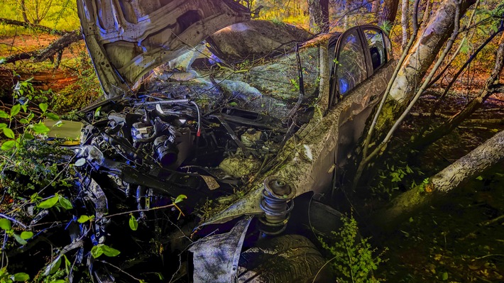 FW-OLL: Schwerer Verkehrsunfall auf der Autobahn - Auto schlägt hochkant in Waldgebiet ein - Anschließender First-Responder-Einsatz