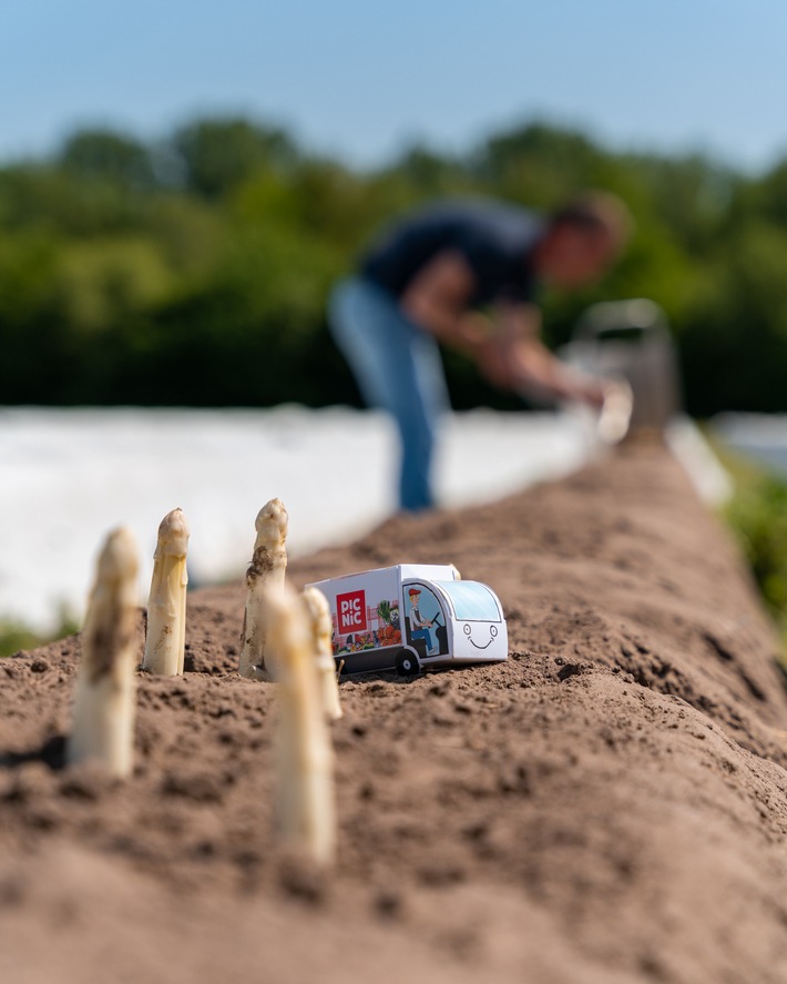 Spargelboom in Deutschland / Ranking zeigt, wo am meisten geschlemmt wird