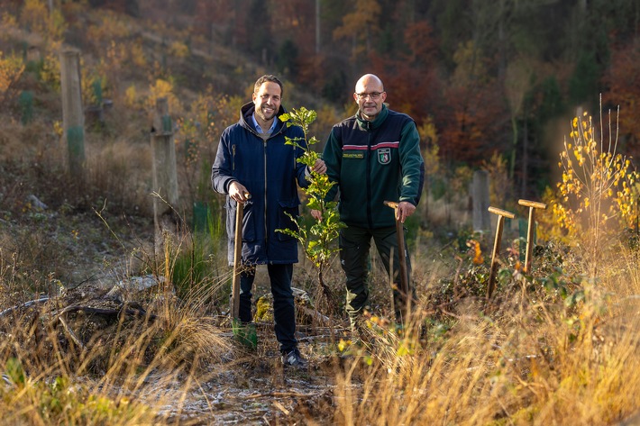 Meilenstein erreicht: Krombacher hat eine Million Bäume gepflanzt