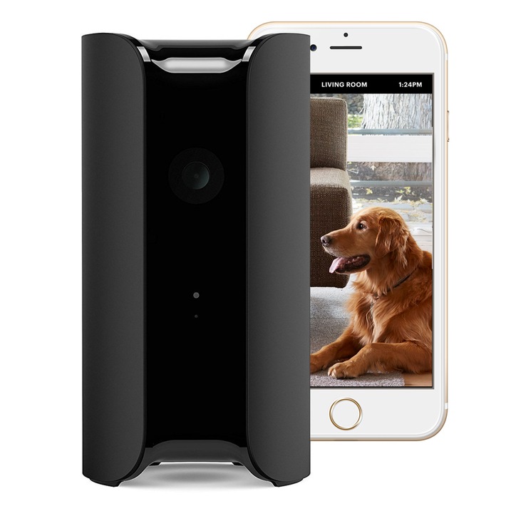 Canary View security camera launches in the UK / Useful, easy, affordable, safe