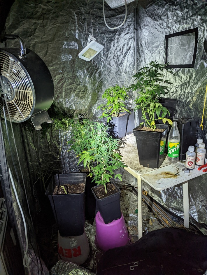 POL-NB: Gefährliche Körperverletzung und Cannabisfund bei anschließender Durchsuchung einer Wohnung in Torgelow