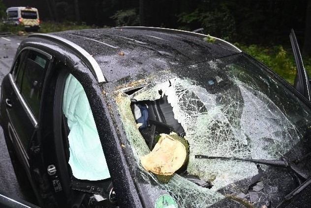 POL-ROW: ++ Massiver Ast kracht während der Fahrt in Windschutzscheibe ++ Mit 2,06 Promille in Scheeßel gestoppt ++ Frau mit 2,41 Promille in Ahausen gestoppt ++
