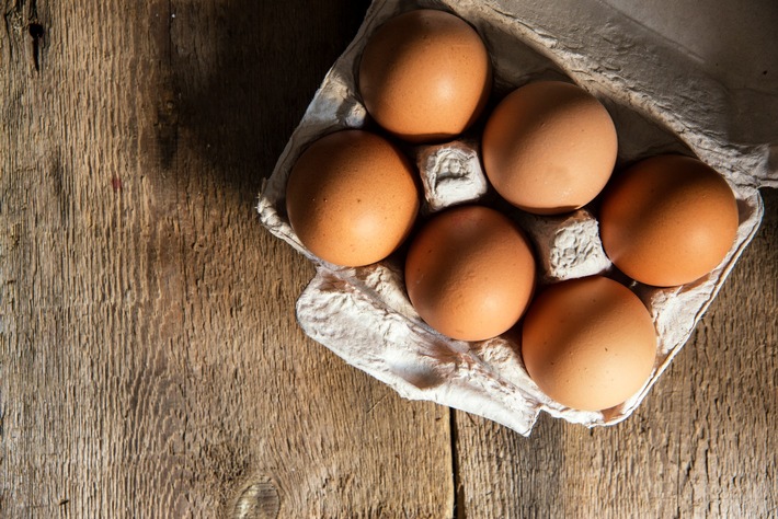 Wussten Sie schon, … dass in Lebensmitteln oft noch Eier aus Käfighaltung stecken?
