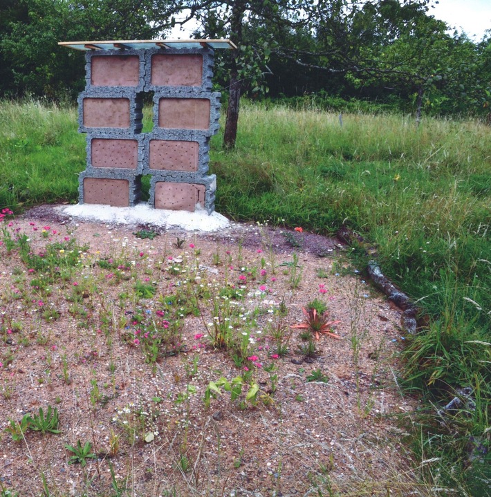 Presse-Information: Streuobstwiesen-Projekt gewinnt beim Naturschutzwettbewerb „Unsere Heimat & Natur“