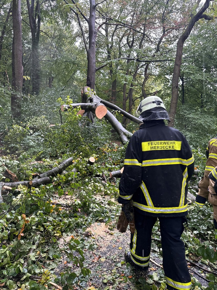 FW-EN: Mehrere Einsätze am Wochenende - Baum blockierte Straße Kemnade