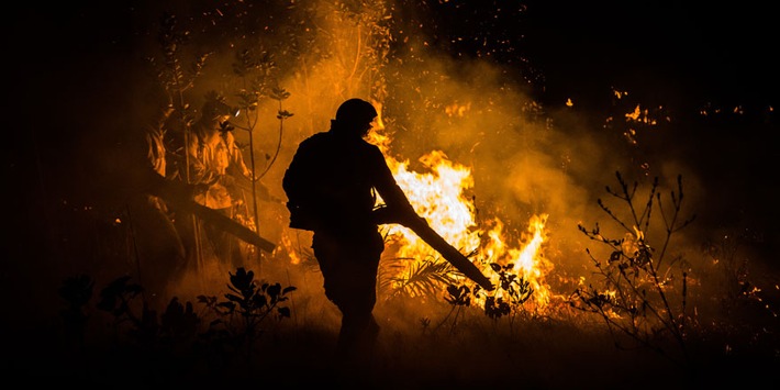 Brasilien: Brände bedrohen Uferwälder der Savanne