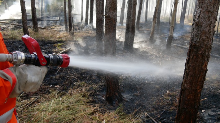 FW Celle: Waldbrand zwischen Scheuen und Hustedt