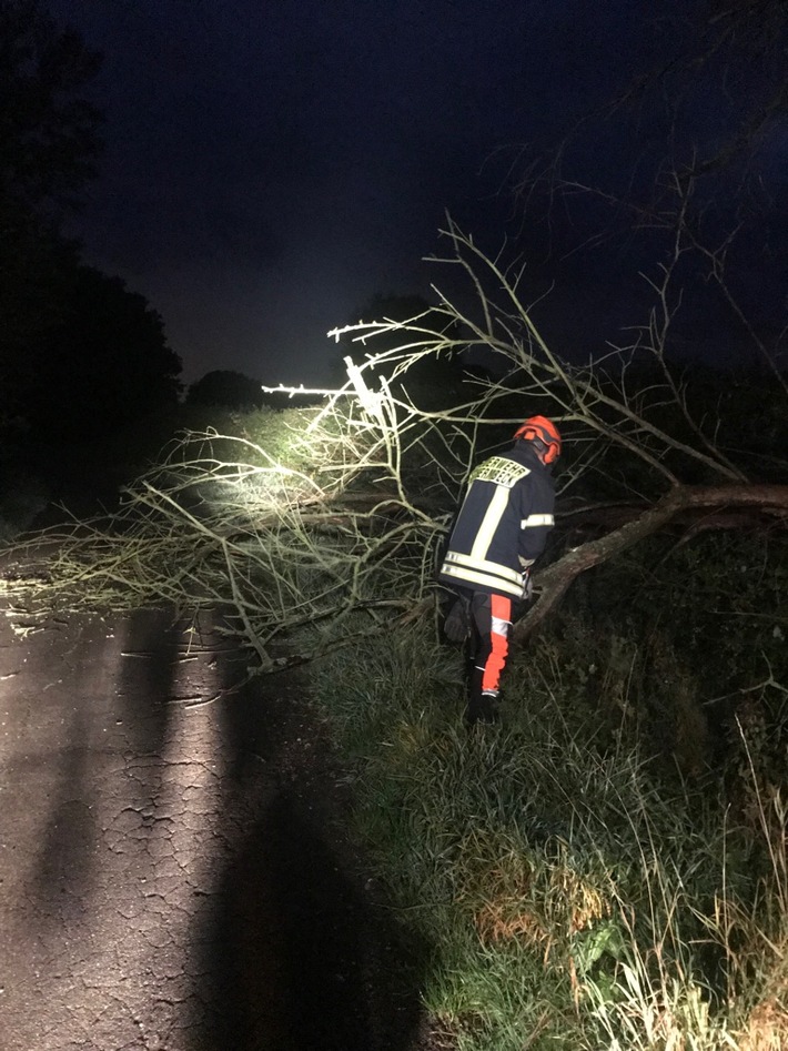 FW-Schermbeck: Umgestürzter Baum blockierte die Fahrbahn
