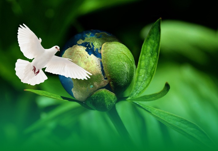 DBU: Klimaschutz als Fundament für Frieden